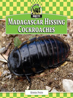 cover image of Madagascar Hissing Cockroaches